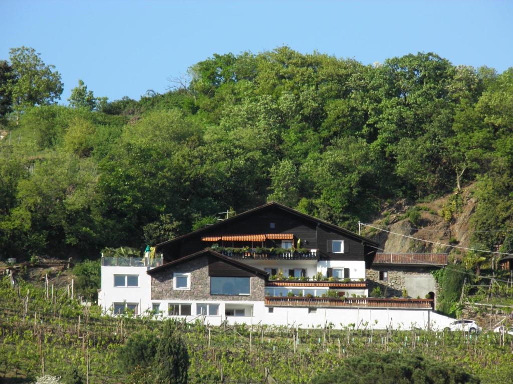 Weinberge am Zenoberg oberhalb von Meran