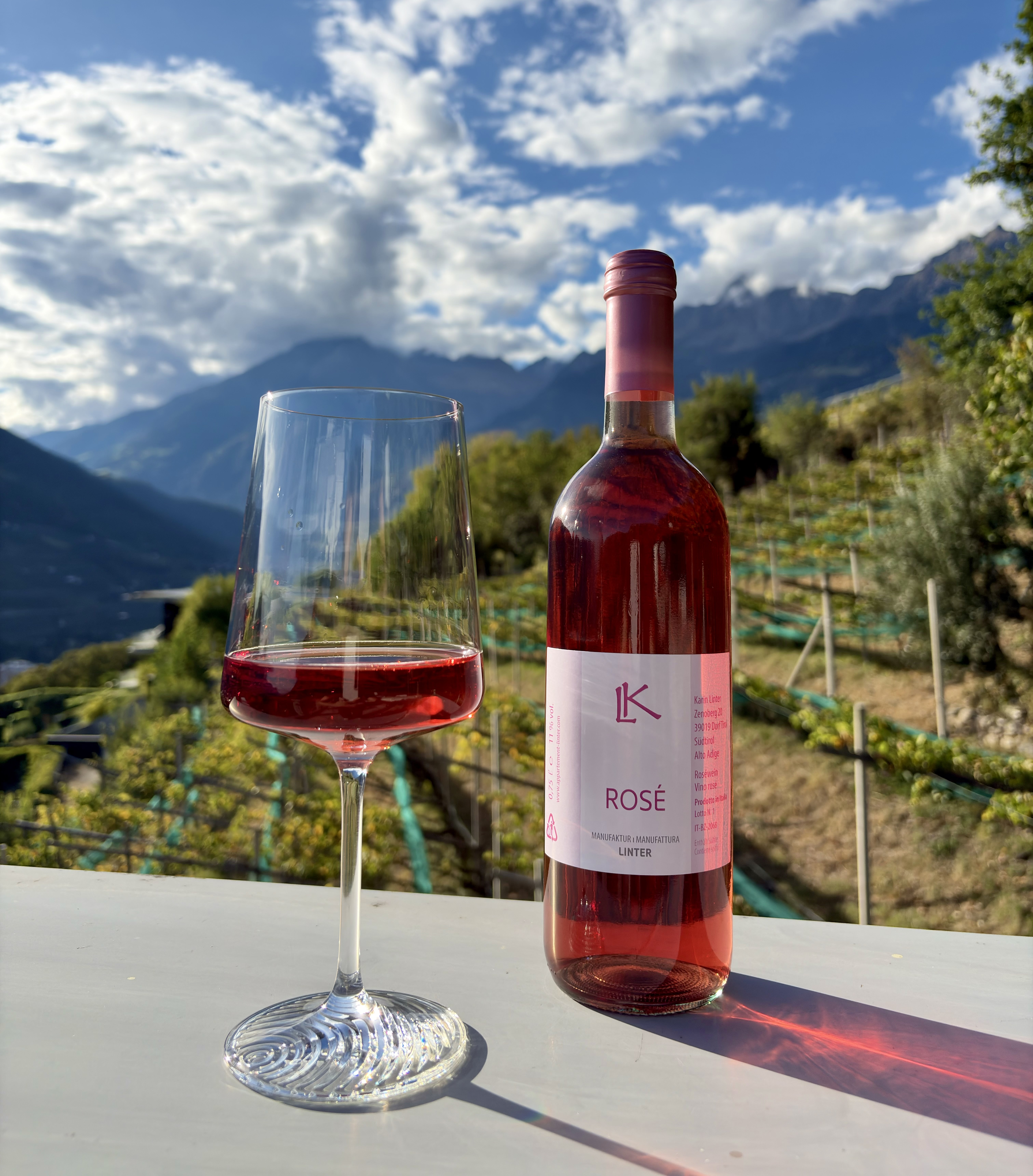 Ein Glas Wein am Zenoberg